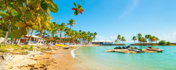 que-visiter-dans-le-nord-de-grande-terre-en-guadeloupe